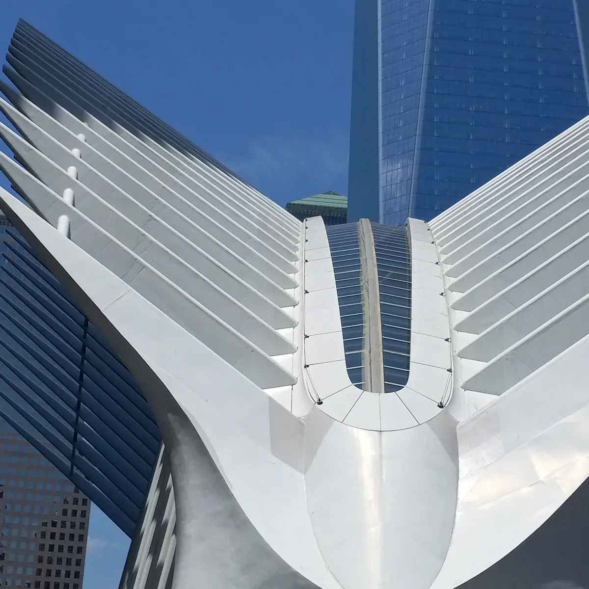 The white winged ribs of the Oculus beside One World Trade Center, on a New York architecture tour